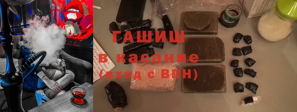гашик Алексин