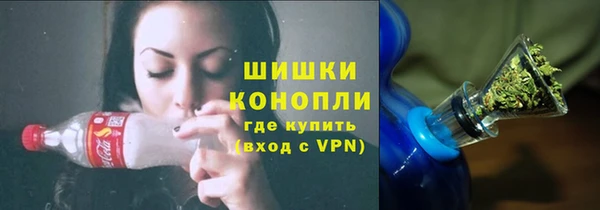 индика Абдулино