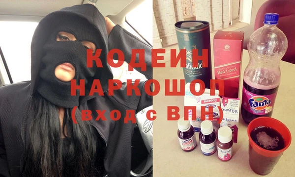 гашик Алексин
