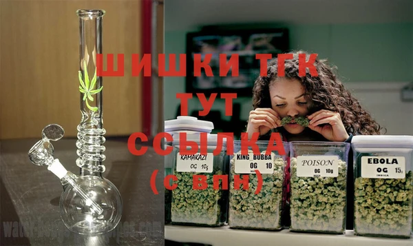 индика Абдулино
