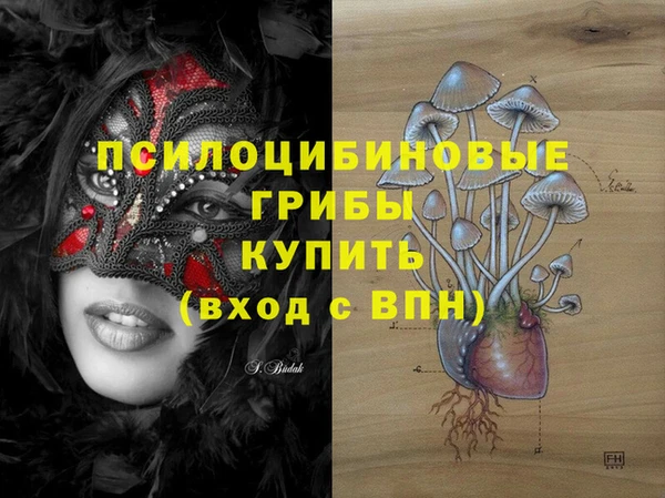 спиды Абаза