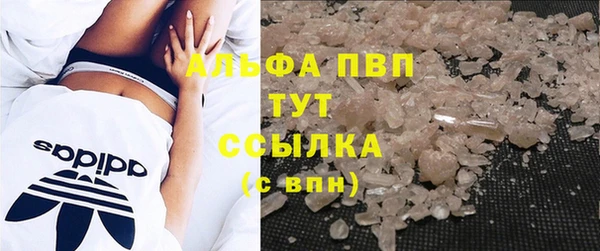 спиды Абаза