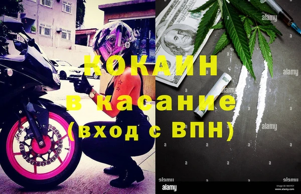 гашик Алексин
