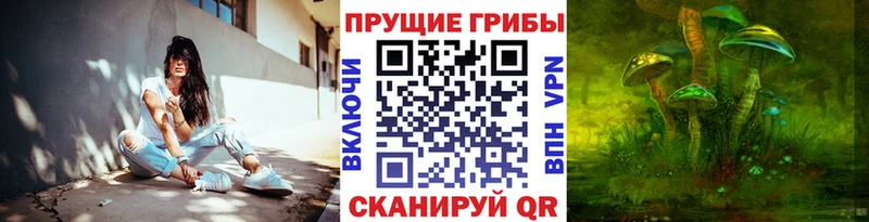 Галлюциногенные грибы мухоморы  Лодейное Поле 