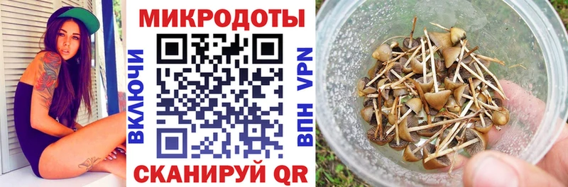 Галлюциногенные грибы мицелий Лодейное Поле